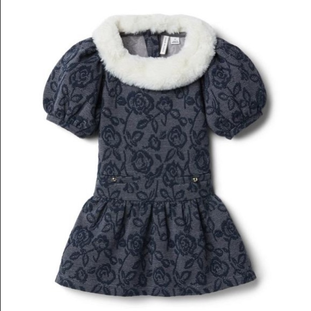 JANIE AND JACK FAUX FUR COLLAR FLORAL JACQUARD DRESS